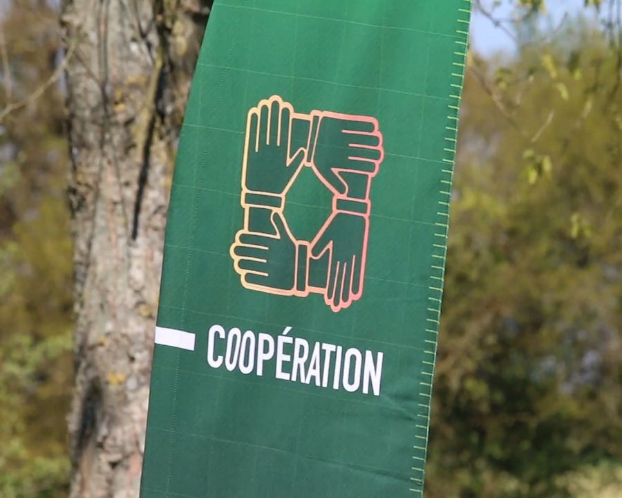 6- coopération
