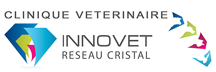 logo-innovet